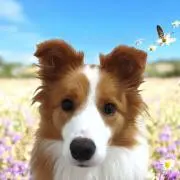 るるる✨の画像