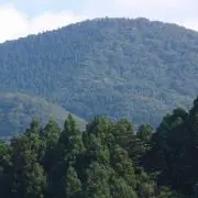 Yの画像