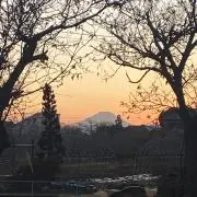 Fujiの画像