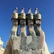 らんの画像