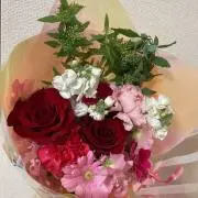 Aoiの画像