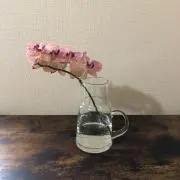 cnの画像