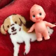 きららの画像