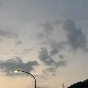 ヒラ