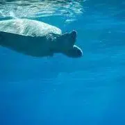 りょりょりょ＊プロフ一読くださいの画像
