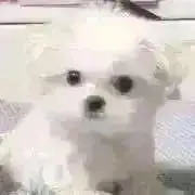 ぽ 【プロフ確認お願いします♪】の画像