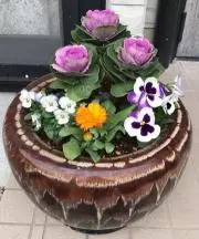 ❀みぃ。mie ❀プロフ必読 ❣の画像