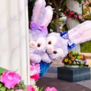 ✿あかね✿