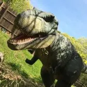 ☆4kidsママ☆