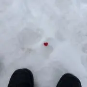 nikiの画像