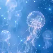 ひとみの画像