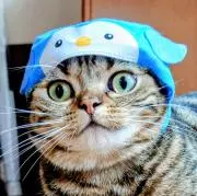 うららの画像