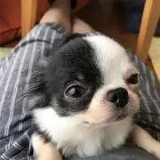 みに