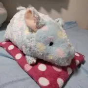 水玉とんちゃま(๑˙❥˙๑)の画像
