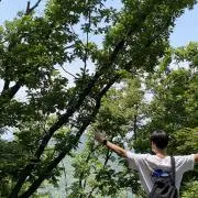 TAの画像