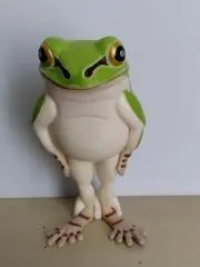 かえる