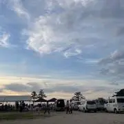 シン (プロフ必読/当日発送の画像