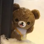 にゃーの画像