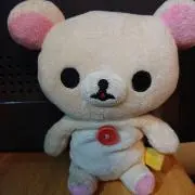 クマコリコリの画像