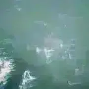 水薬の画像