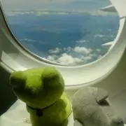 トモ