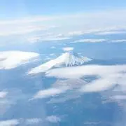 グリーン