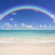 rainbowの画像