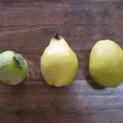 かりん