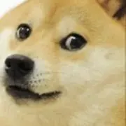 しばみ