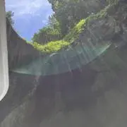 ぽんたの画像