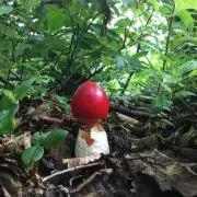 さっつん