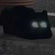 qの画像