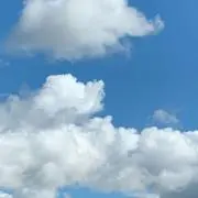 Tamの画像