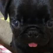 こうちゃんの画像