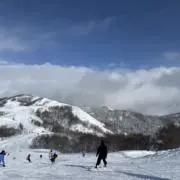 こてぃの画像