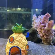 674の画像