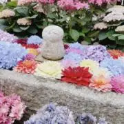 あかさ→プロフご確認くださいの画像