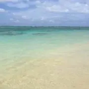 バリーロードの画像