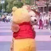 たかの画像