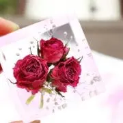 sayuの画像