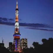momoの画像
