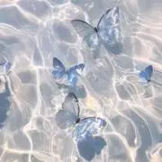 ell(エル）の画像