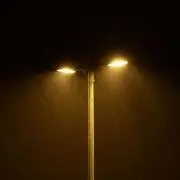 ふぁすと【即日発送】の画像
