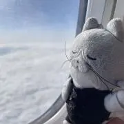 リュージの画像