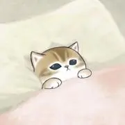 moco 【プロフ必読】の画像