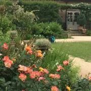 キララ☆⭐︎