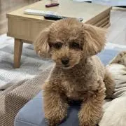 mhの画像