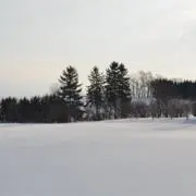 あの画像