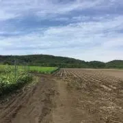 ネラッズーリ