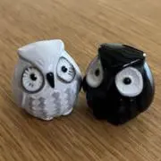 ステイの画像
